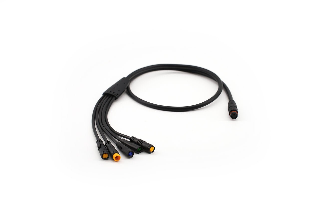 CYC Can Bus Main Wire Harness - Cap Rouge