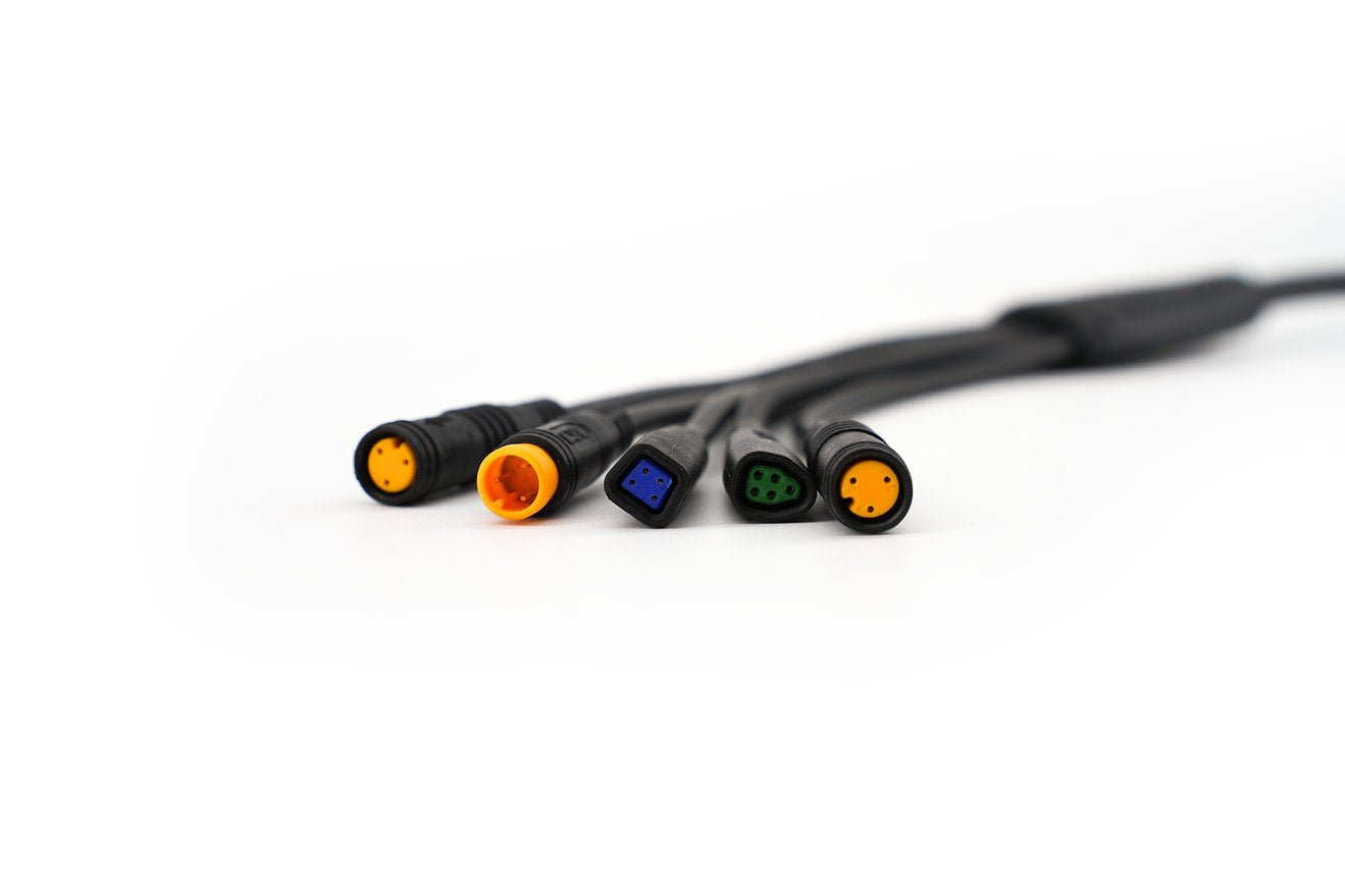CYC Can Bus Main Wire Harness - Cap Rouge