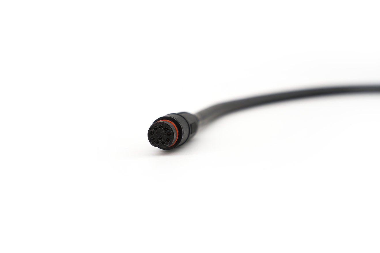 CYC Can Bus Main Wire Harness - Cap Rouge