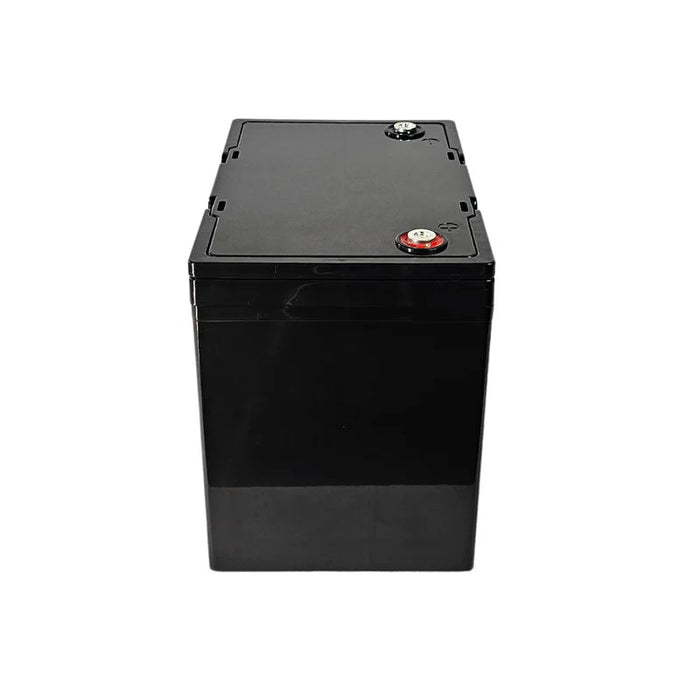 EcoStore 100Ah 12V LiFePO4 Battery - Cap Rouge